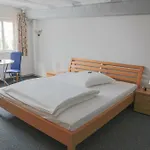 Gasthuis Haus Landgraf Walldorf (Baden-Wurttemberg)
